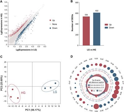 Comparing Transcriptomes Reveals Key Metabolic Mechanisms in Superior Growth Performance Nile Tilapia (Oreochromis niloticus)